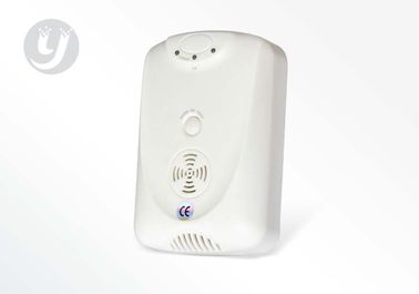Natural Gas Detector Alarm Flash Alarm semiconductor Gas Sensor