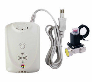 EN50291 Carbon Monoxide Co Alarm Detector With Self Testing Button