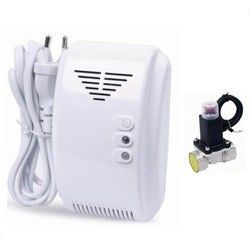 Professional Home Gas Detector Alarm, CO &amp; Gas sensor, AC220V